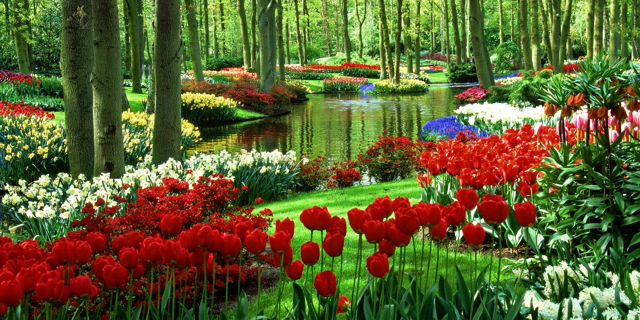 http://paintpower.net/wp-content/uploads/2018/08/flower-garden-1280x640.jpg